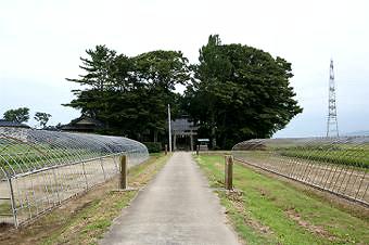 マウスクリックで拡大/縮小します