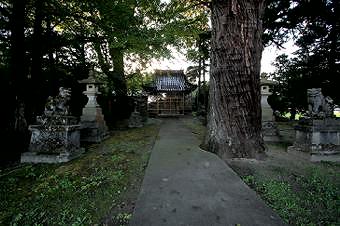 マウスクリックで拡大/縮小します