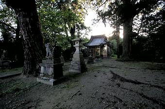 マウスクリックで拡大/縮小します