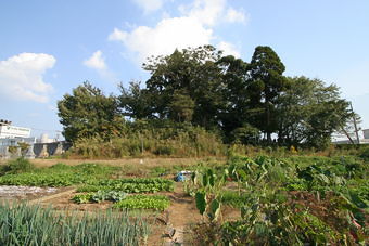 マウスクリックで拡大/縮小します