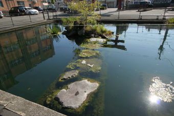 マウスクリックで拡大/縮小します
