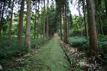 マウスクリックで拡大/縮小します