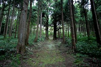 マウスクリックで拡大/縮小します