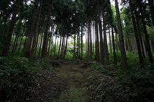 マウスクリックで拡大/縮小します