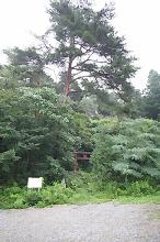 マウスクリックで拡大/縮小します