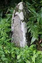 マウスクリックで拡大/縮小します