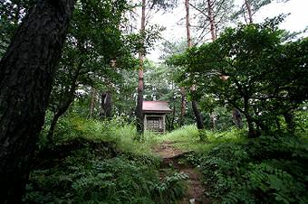 マウスクリックで拡大/縮小します