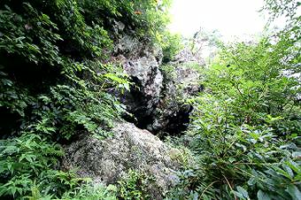 マウスクリックで拡大/縮小します