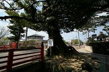 マウスクリックで拡大/縮小します