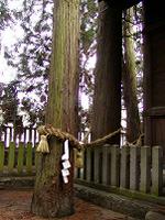 マウスクリックで拡大/縮小します