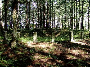 マウスクリックで拡大/縮小します