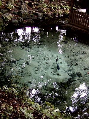 マウスクリックで拡大/縮小します