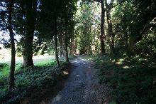 マウスクリックで拡大/縮小します