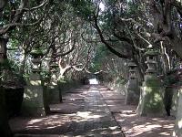 マウスクリックで拡大/縮小します