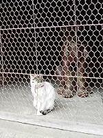 マウスクリックで拡大/縮小します