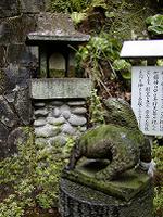 マウスクリックで拡大/縮小します