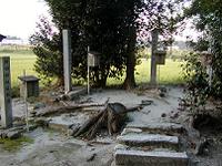 マウスクリックで拡大/縮小します