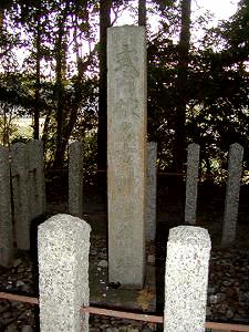 マウスクリックで拡大/縮小します