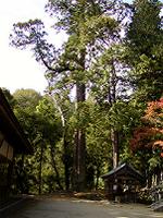 マウスクリックで拡大/縮小します