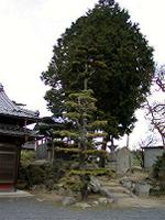 マウスクリックで拡大/縮小します