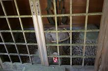 マウスクリックで拡大/縮小します