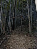 マウスクリックで拡大/縮小します