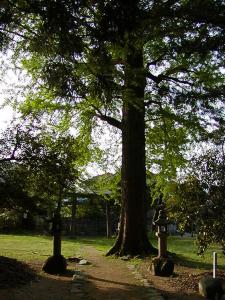 マウスクリックで拡大/縮小します