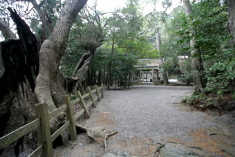 マウスクリックで拡大/縮小します