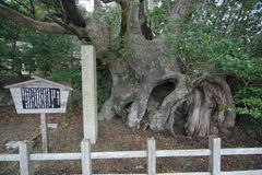 マウスクリックで拡大/縮小します