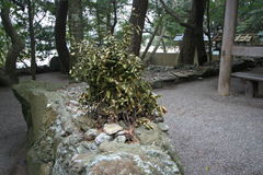 マウスクリックで拡大/縮小します