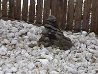 マウスクリックで拡大/縮小します