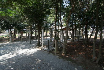 マウスクリックで拡大/縮小します