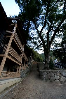 マウスクリックで拡大/縮小します