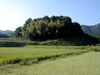 マウスクリックで拡大/縮小します