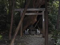 マウスクリックで拡大/縮小します