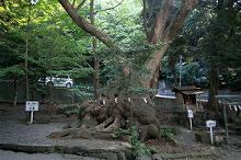 マウスクリックで拡大/縮小します