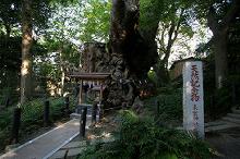 マウスクリックで拡大/縮小します