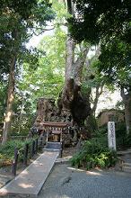 マウスクリックで拡大/縮小します