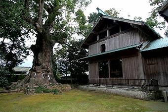 マウスクリックで拡大/縮小します