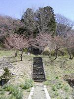 マウスクリックで拡大/縮小します