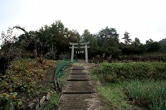 マウスクリックで拡大/縮小します