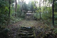 マウスクリックで拡大/縮小します