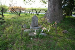 マウスクリックで拡大/縮小します