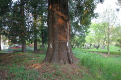 マウスクリックで拡大/縮小します