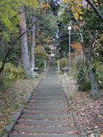 マウスクリックで拡大/縮小します