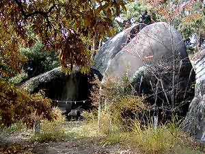 マウスクリックで拡大/縮小します