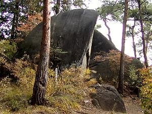 マウスクリックで拡大/縮小します