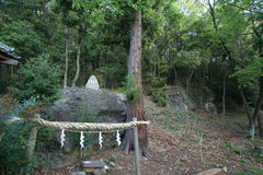 マウスクリックで拡大/縮小します