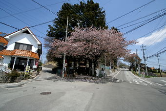 マウスクリックで拡大/縮小します