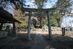 マウスクリックで拡大/縮小します